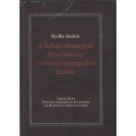 A Békés vármegyei Mezőberény történeti-topográfiai leírása