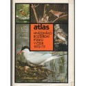 Atlas hnízdního rozsirení ptáku v CSSR 1973-1977