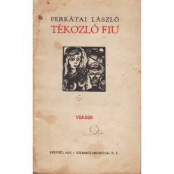 Tékozló fiú