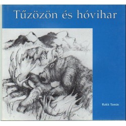 Tűzözön és hóvihar