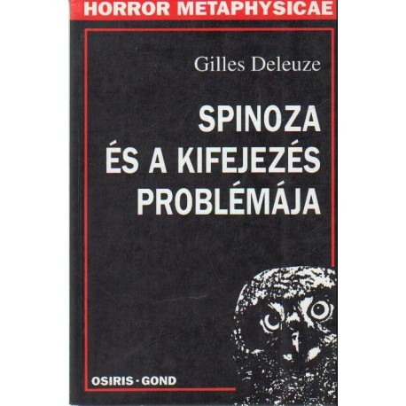 Spinoza és a kifejezés problémája