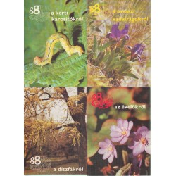 88 színes oldal növényekről (4 db)