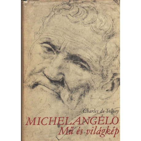 Michelangelo - Mű és világkép