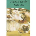 Ködös utak