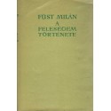 A feleségem története