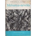 Méhanya-nevelés