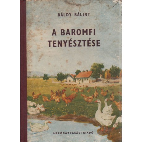 A baromfi tenyésztése