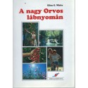 A nagy Orvos lábnyomán