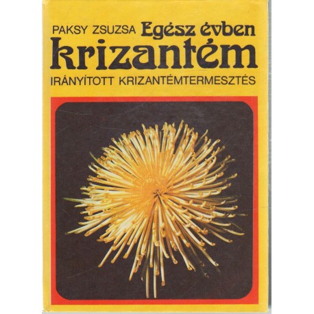 Egész évben krizantém