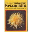 Egész évben krizantém