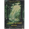 Amiről az erdő mesél