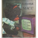 Jó éjszakát Maci!