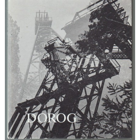 Dorog