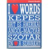 Képes brit és amerikai angol- magyar szótár